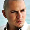 Pitbull
