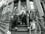 An Open Letter to NYC